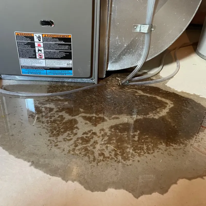 Appliance Leak Cleanup in Kendale Lakes, FL